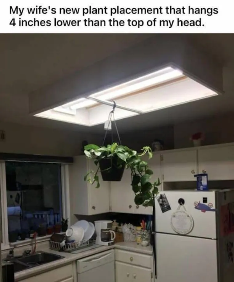 KOME JE OVO POZNATO? Ljudi &scaron;eraju fotke najiritantnijih navika svojih supružnika, pitanje je vremena kada će biti i stradalih