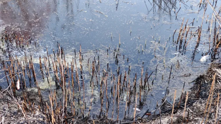 Gnojnicama i fekalnim vodama s obližnjih stočnih farmi prvo su zagađeni kanali koji jezera napajaju vodom, a stradalo je i obližnje ribogojili&scaron;te i mrjestili&scaron;te lokalne ribolovne udruge. Fotografije Goran Flauder/Net.hr