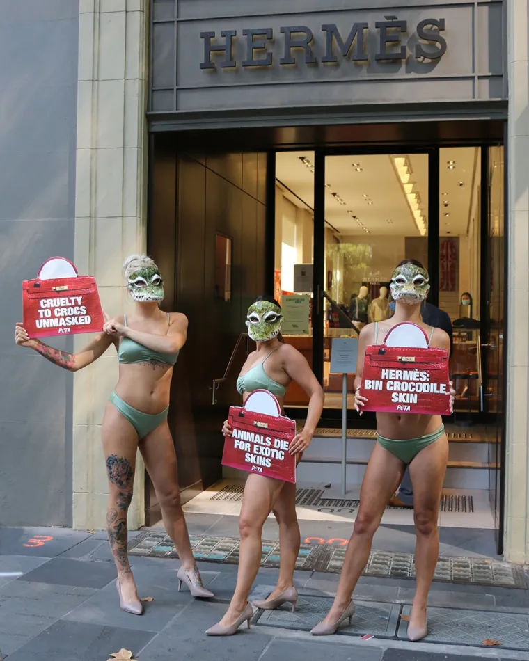 Seksi modeli u bikinijima prosvjedovali su ispred luksuzne trgovine odjećom kako bi ukazali na problem ubijanja krokodila radi izrade torbica i drugih predmeta od njihove kože. Pritom su na licima simbolično nosile maske krokodila.
