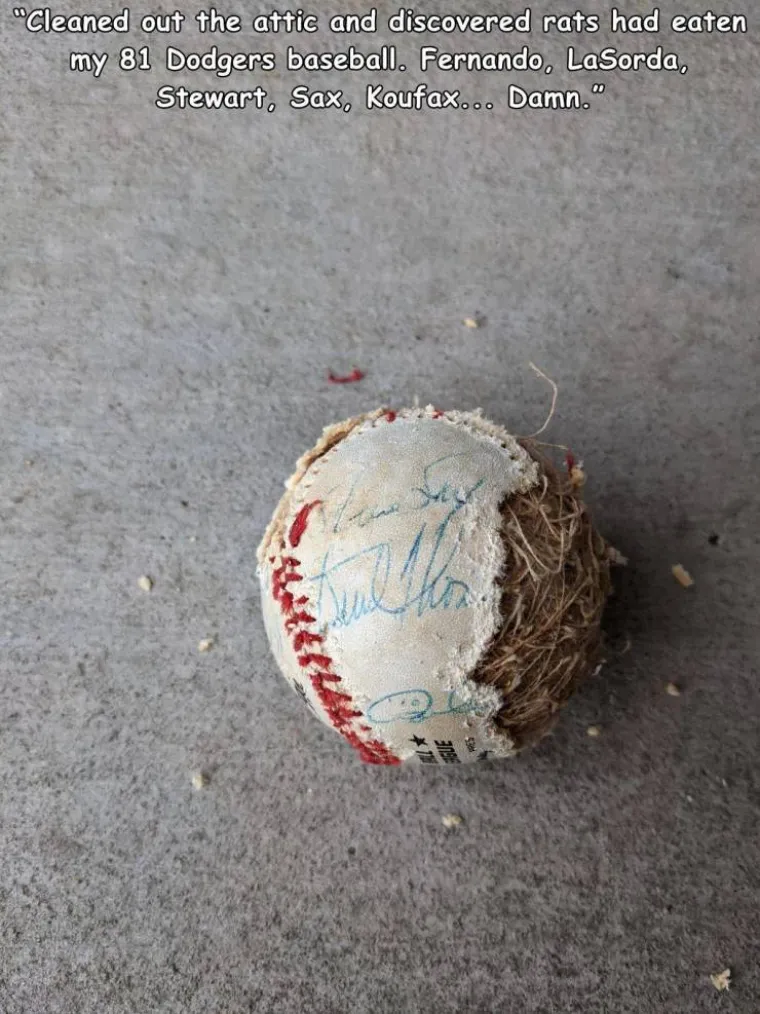 MOGLO JE I GORE? Vjerojatno, ali nije neka utjeha kad vam dan počne i zavr&scaron;i ovakvim kolosalnim pehovima