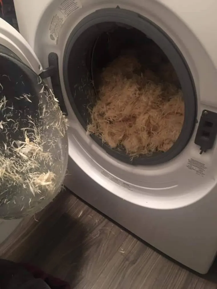 MOGLO JE I GORE? Vjerojatno, ali nije neka utjeha kad vam dan počne i zavr&scaron;i ovakvim kolosalnim pehovima