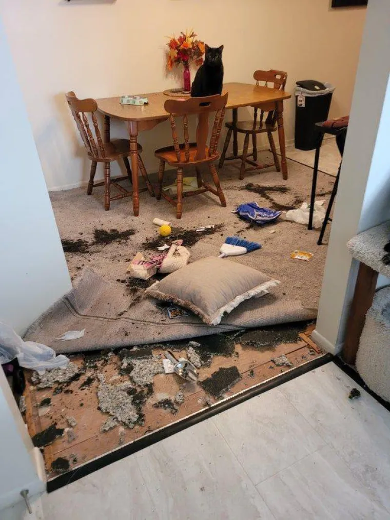 MOGLO JE I GORE? Vjerojatno, ali nije neka utjeha kad vam dan počne i zavr&scaron;i ovakvim kolosalnim pehovima