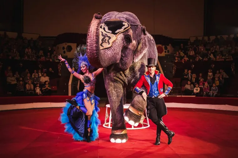 Bilo je scena kaosa i panike dok su treneri palicama poku&scaron;avali odvojiti borbene divove u ruskom gradu Kazanu.