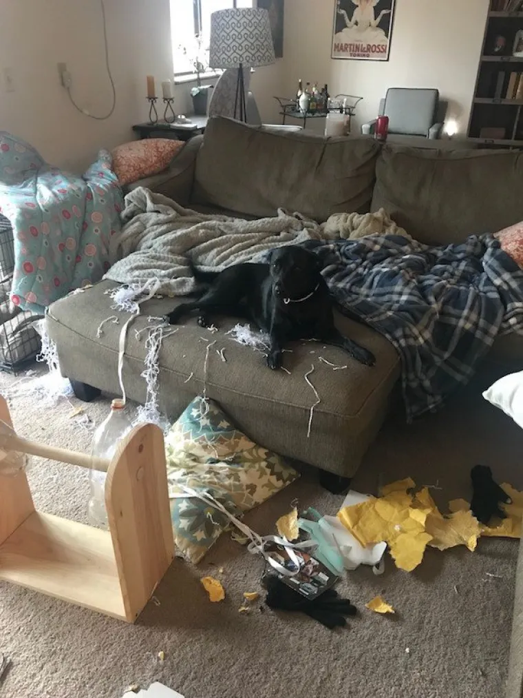 ONI BA&Scaron; SVE RADE NAOPAKO: Ustali na krivu nogu i napravili totalni raspa&scaron;oj u svijetu