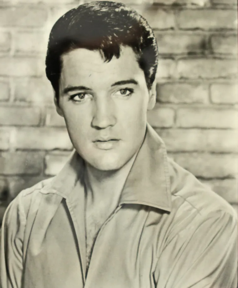 Elvis Presley preminuo je u svojoj kupaonici 1977. u 42. godini života. Liječnik je tijekom autopsije kao uzrok smrti naveo srčanu aritmiju koja nije povezana s kori&scaron;tenjem droga, no tada jo&scaron; nije dobio toksikolo&scaron;ki nalaz.
Kasnije je utvrđeno da je Elvis u krvi imao visoku razinu lijekova protiv boli o kojima je razvio ovisnost. Navodno mu je jedan od liječnika u osam mjeseci propisao vi&scaron;e od 10.000 tableta.
Postoje i brojne teorije zavjere da je Kralj rock 'n' rolla jo&scaron; uvijek živ, odnosno da ga &scaron;titi FBI ili program za&scaron;tite svjedoka.