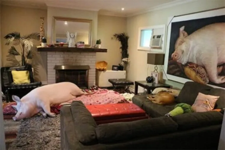 ONO KAD ŽIVOT IMITIRA UMJETNOST: Snimili su bizarne prizore u koje bi inače bilo te&scaron;ko povjerovati