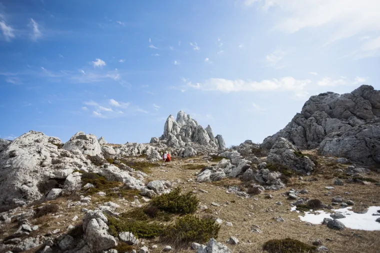 POLITIČKI PERFORMER OŽIVIO SPOMEN NA HRVATSKO PROLJEĆE: Poput Sizifa gurao je uz brdo veliku crvenu kocku