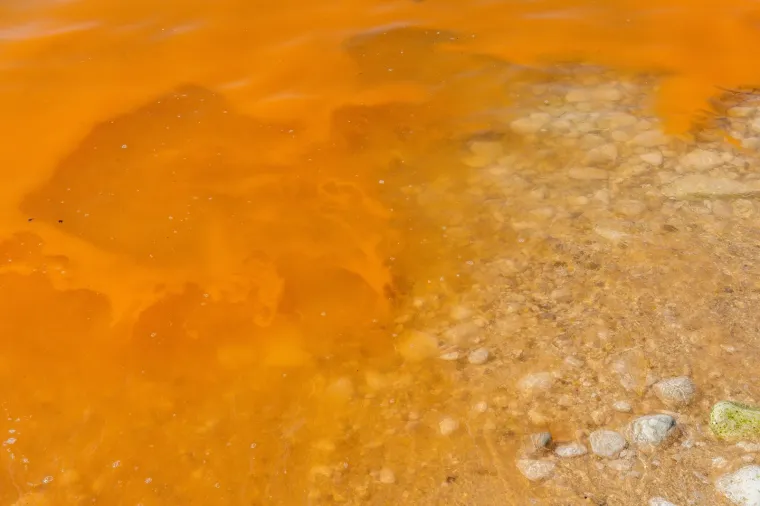 Pogledajte kako izgleda fenomen cvjetanja mora na pojedinim pulskim plažama.