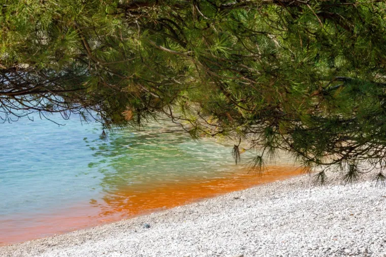 Cvjetanje mora na pojedinim pulskim plažama.