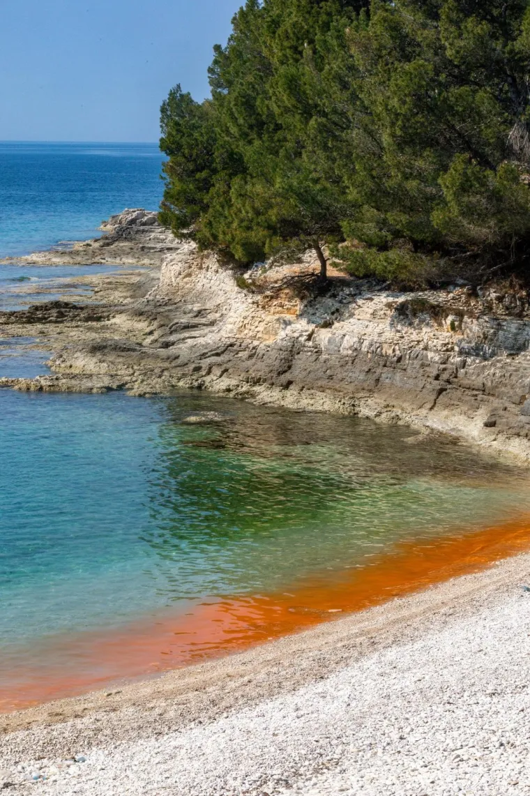 BIZARNE BOJE NA PULSKIM PLAŽAMA: Pogledajte ove prizore; nije ništa misteriozno, uzrok je sasvim očekivan