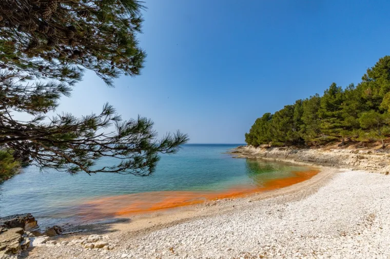 BIZARNE BOJE NA PULSKIM PLAŽAMA: Pogledajte ove prizore; nije ništa misteriozno, uzrok je sasvim očekivan