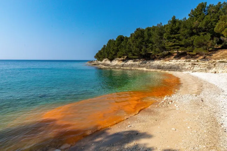 BIZARNE BOJE NA PULSKIM PLAŽAMA: Pogledajte ove prizore; nije ništa misteriozno, uzrok je sasvim očekivan