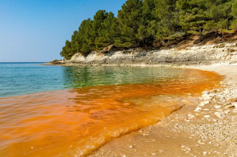 BIZARNE BOJE NA PULSKIM PLAŽAMA: Pogledajte ove prizore; nije ništa misteriozno, uzrok je sasvim očekivan
