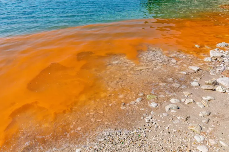 BIZARNE BOJE NA PULSKIM PLAŽAMA: Pogledajte ove prizore; nije ništa misteriozno, uzrok je sasvim očekivan