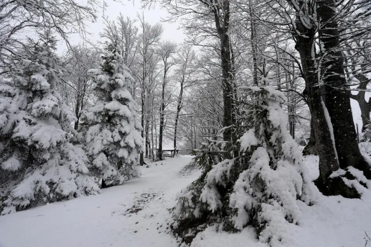 Snijeg u Gorskom Kotaru