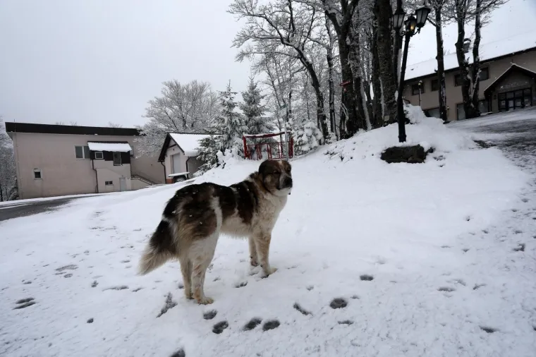 Snijeg u Gorskom Kotaru