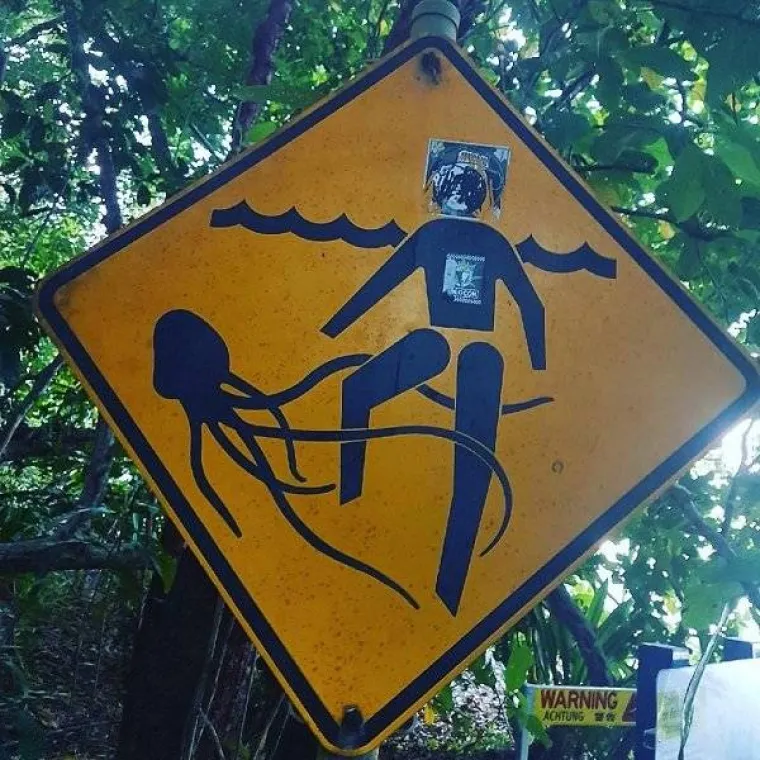 ONO &Scaron;TO JE AUSTRALCIMA SVAKODNEVICA, DRUGIMA JE NOĆNA MORA: Zemlja u kojoj stra&scaron;ljivi ne mogu opstati