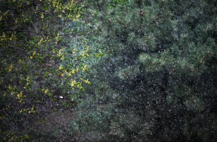 Stigla hladna fronta! U Zagrebu pada snijeg, iz HAK-a poručuju: 'Ne krećite na put bez zimske opreme'