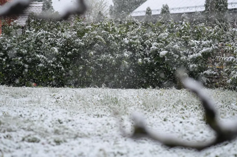 Zagreb se probudio pod snježnim pokrivačem. Photo: Josip Regovic/PIXSELL