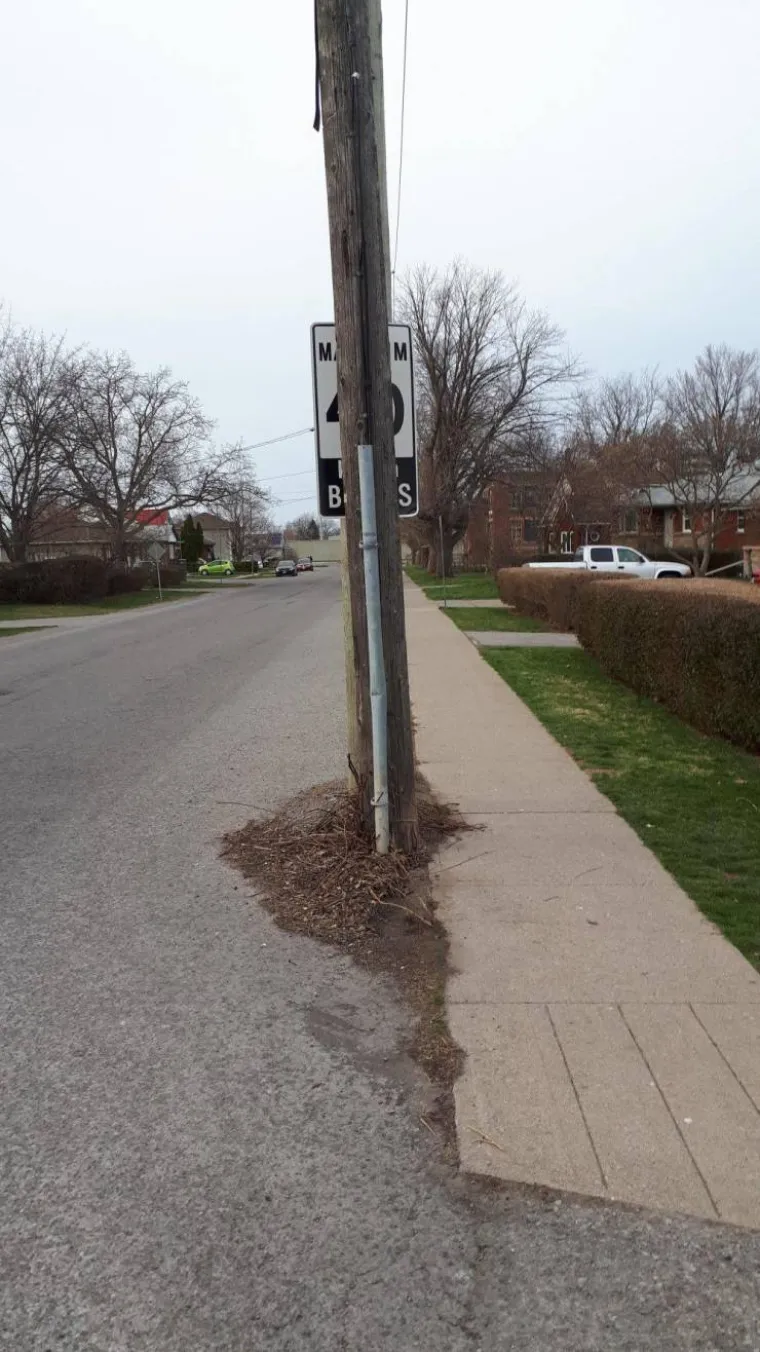 VAŽNO DA SU SE ONI SNA&Scaron;LI: Možda njihovo snalaženje nije k'o ono hrvatskih tajknuna, no i i dalje je na granici kriminalnog