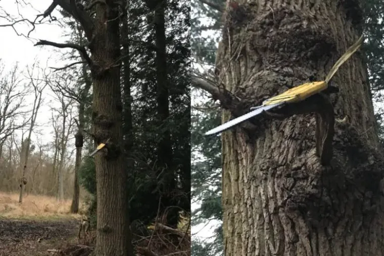 VAŽNO DA SU SE ONI SNA&Scaron;LI: Možda njihovo snalaženje nije k'o ono hrvatskih tajknuna, no i i dalje je na granici kriminalnog