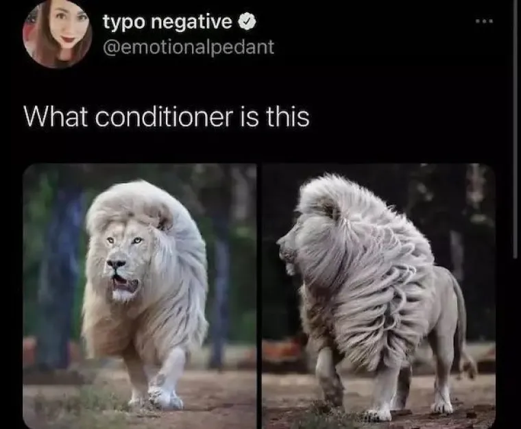 SVE CURE ĆE SE PREPOZNATI U OVIM SLIKAMA: Dečki, ovo je svakodnevica va&scaron;ih boljih polovica