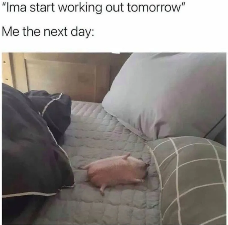 ŽIVOTINJE SE NE TRUDE BITI SMIJE&Scaron;NE, ONE TO JESU: Ako na ove blesave fotke ostanete ozbiljni, onda ste srca kamena