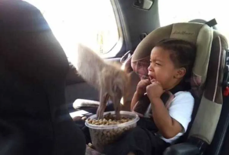 VEĆINA BI NA NJIHOVOM MJESTU ODMAH BRIZNULA U PLAČ: Imaju osjećaj da se sudbina obrušila na njih, potpuno ih razumijemo