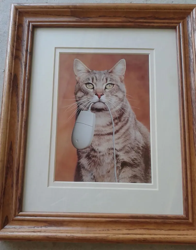 MALO JE REĆI BIZARNO: Bez pretjerivanja, nećete vjerovati &scaron;to su na&scaron;li na &scaron;tandovima