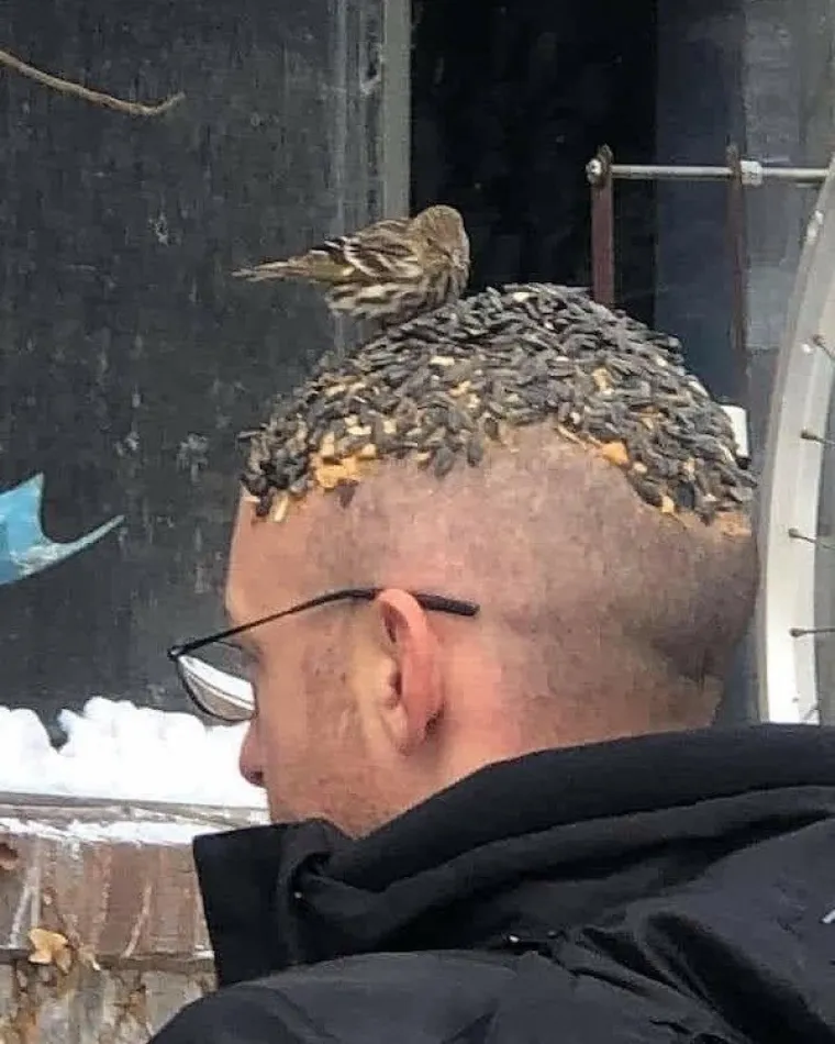 REMEK-DJELA ILI LUDILO? Neki ljudi zadovoljni su minimumom minimuma, pogledajte samo kako žive