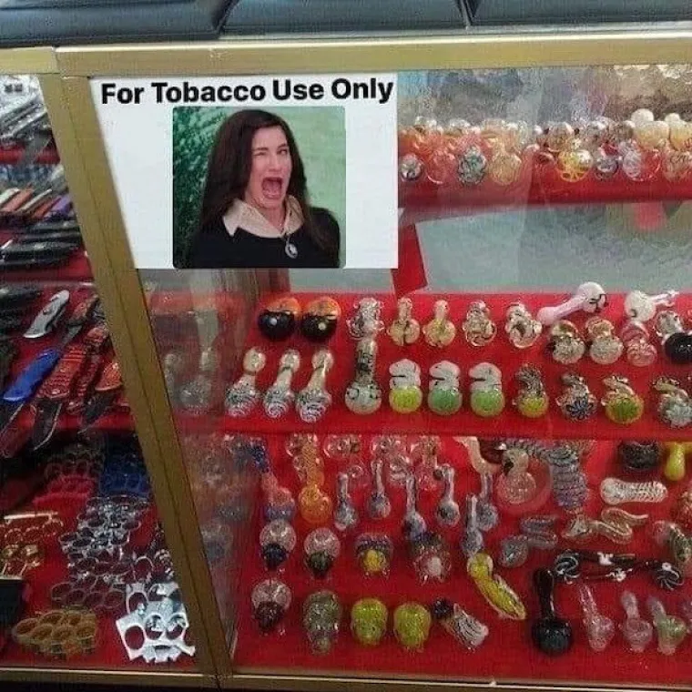 REMEK-DJELA ILI LUDILO? Neki ljudi zadovoljni su minimumom minimuma, pogledajte samo kako žive