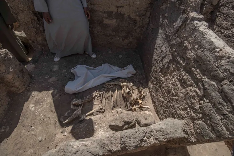 "Otkriće ovoga izgubljenog grada drugo je najvažnije arheolo&scaron;ko otkriće od grobnice Tutankamona", izjavila je za BBC Betsy Brian, profesorica egiptologije na Sveučili&scaron;tu Johns Hopkins u Baltimoreu, u SAD-u.  Dodala je da će nam ovaj grad "pružiti rijedak uvid u život drevnih Egipćana" u vrijeme kada je carstvo bilo najbogatije.