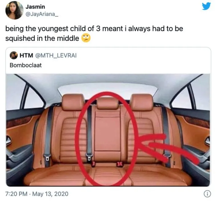 AKO STE ODRASTALI S BRATOM ILI SESTROM, OVI MEMOVI ĆE VAM BITI BOLNO POZNATI: Najmlađi su prolazili najgore, evo dokaza