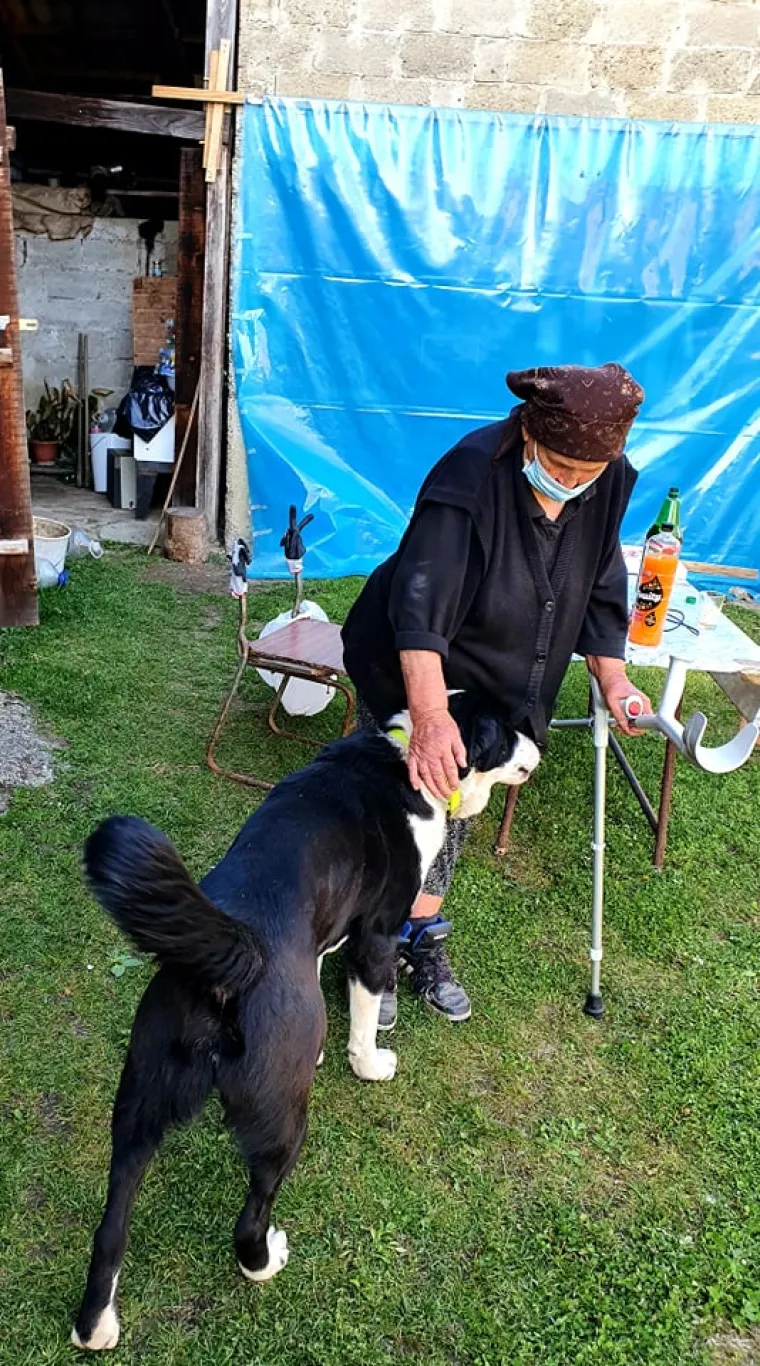 Sjećate se bake Ankice iz Gline? Ne samo da je dobila novi dom, već i novog cimera