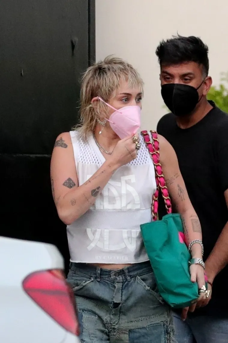 DA JE OBUKLA GRUDNJAK, NJEZINA ŠETNJA NE BI BILA GLAVNA VIJEST: Miley Cyrus zna kako privući pažnju fotografa