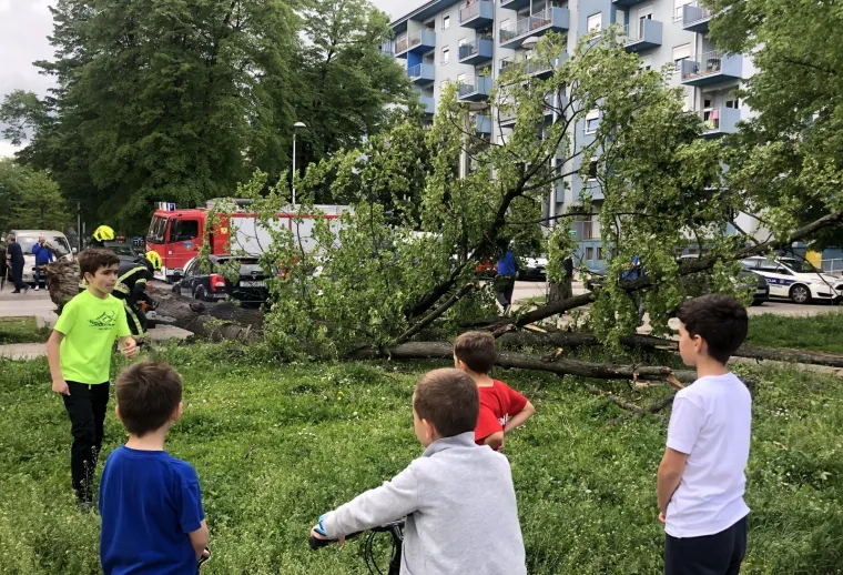 Zamalo tragedija - u &Scaron;panskom iz čista mira palo stablo