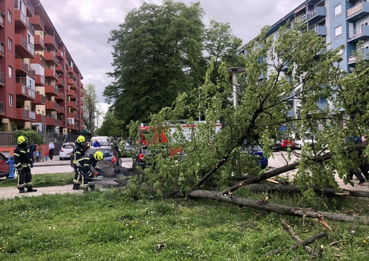 Zamalo tragedija - u &Scaron;panskom iz čista mira palo stablo