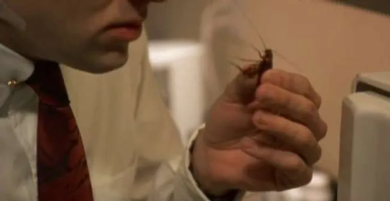 Nicolas Cage pojeo je pravog žohara u filmu "Poljubac vampira" iz 1988.