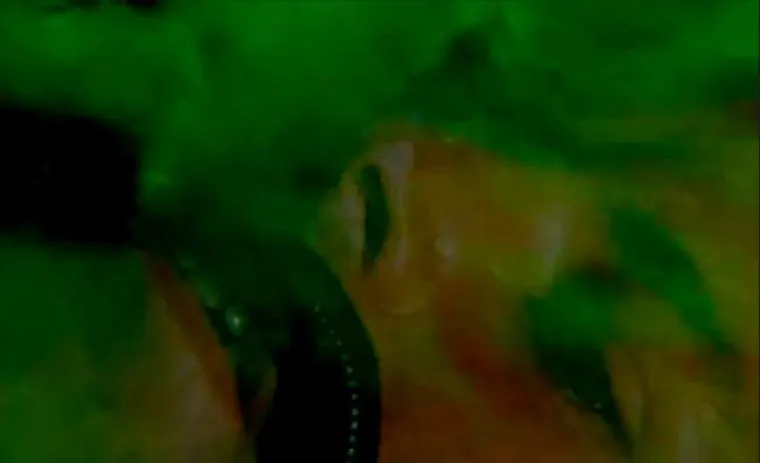 Walon Green pustio je da mu stonoga puzi po licu kako bi snimio scenu u tunelu za film "Willy Wonka i tvornica čokolade&rsquo;" iz 1971.