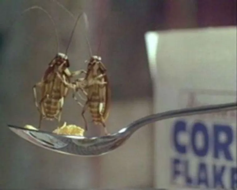 Jerry O&rsquo;Connell stavio je žive žohare u usta za potrebe filma "Joeov stan" iz 1996.