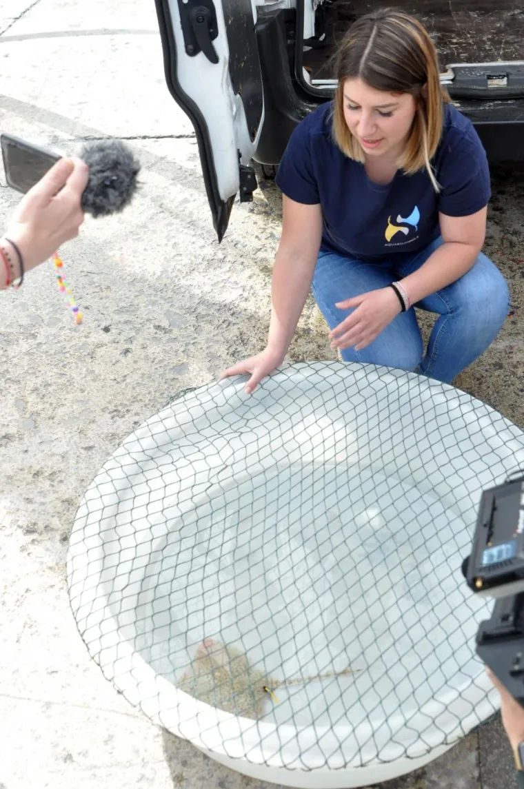 Najslađa raža na svijetu krenula je u avanturu života: Srećko je pu&scaron;ten u more!