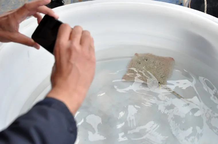 Najslađa raža na svijetu krenula je u avanturu života: Srećko je pu&scaron;ten u more!