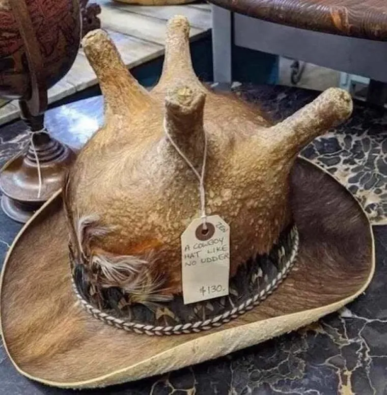 TREBA LI SLOBODA IMATI GRANICE? Zbog ovih modnih izričaja, odgovor se nameće sam od sebe