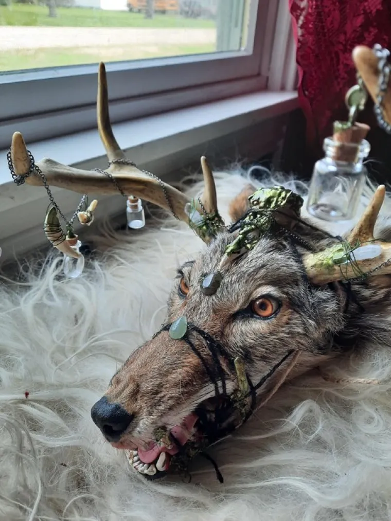 KAKVE SU OVO OPAČINE? Dijele fotografije najbizarnijih prizora koje su vidjeli i od nekih bi vam se moglo smučiti