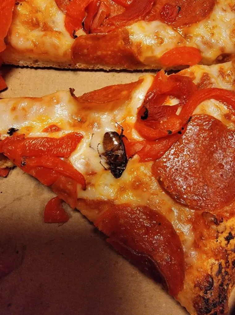 KAKVE SU OVO OPAČINE? Dijele fotografije najbizarnijih prizora koje su vidjeli i od nekih bi vam se moglo smučiti