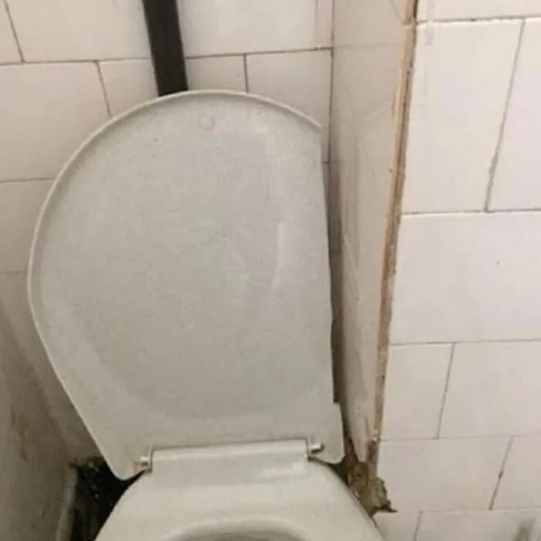 Oni su odgovorili 'može': Imamo urnebesne dokaze da ih ne smijete častiti prije obavljena posla