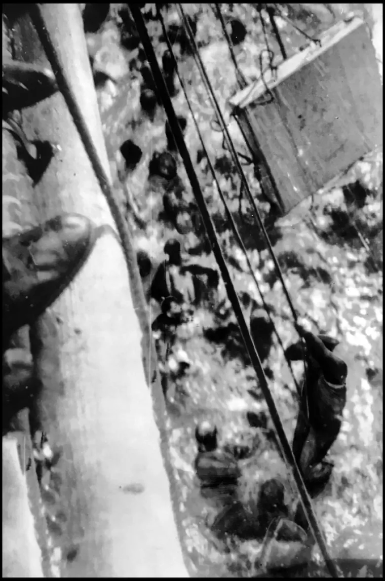 Bismarck je pogođen torpedom koji je lansiran s dvokrilca. Pogodak torpedom nije teže o&scaron;tetio brod, ali se pojavio problem jer mu se zaglavilo kormilo i brod vi&scaron;e nije mogao normalno manevrirati i precizno gađati britanske brodove