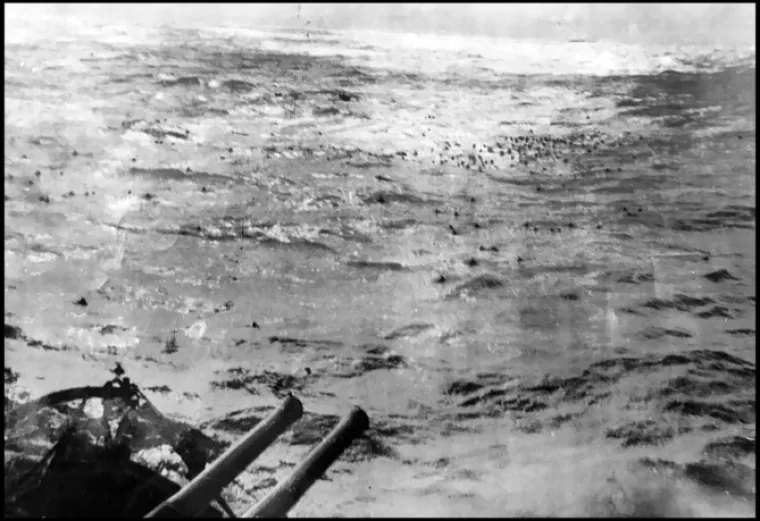 Od 2200 članova posade, prema povijesnim podacima poginule su 2086 osobe. Osim 114 osoba s broda, preživio je i crno-bijeli mačak Oscar u vlasni&scaron;tvu nepoznatog člana posade