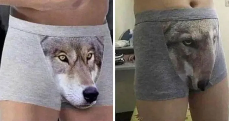 Istovremeno ćete se smijati i oplakivati ove jadne ljude