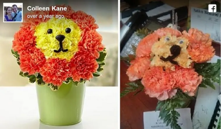 Istovremeno ćete se smijati i oplakivati ove jadne ljude